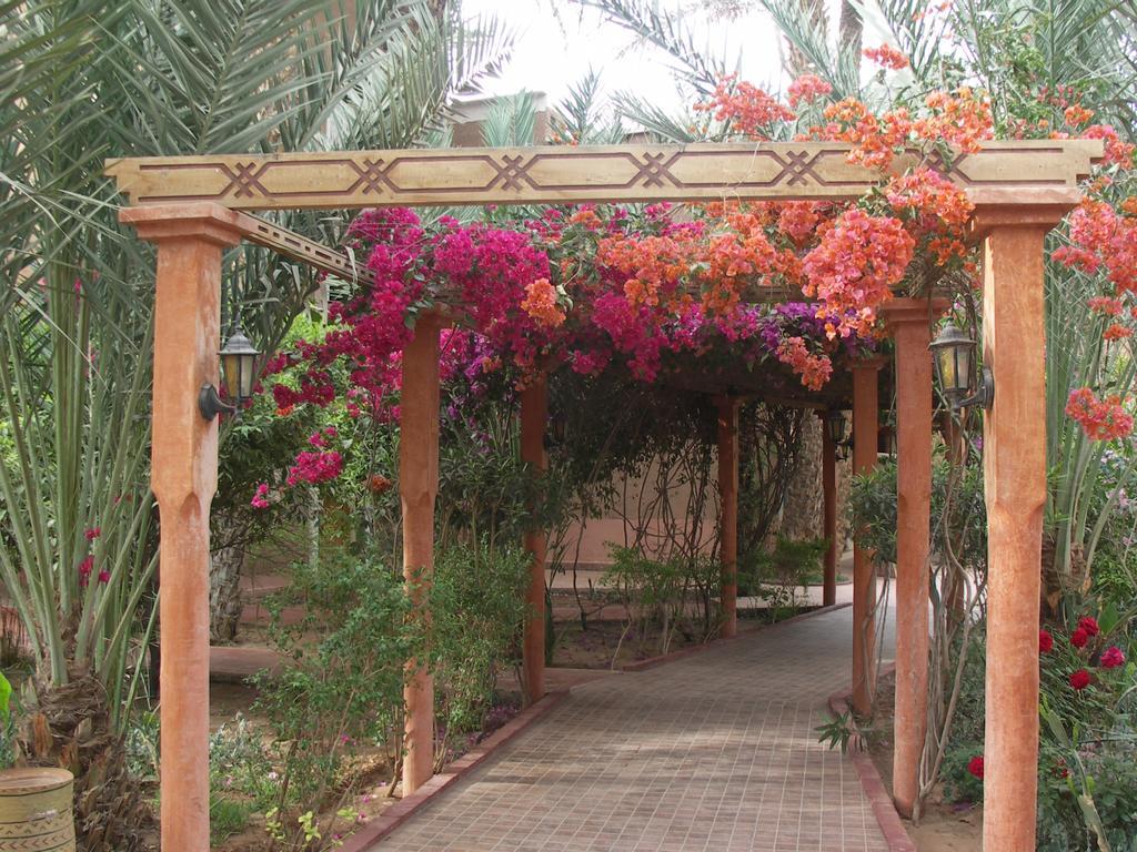 Fibule Du Draa Kasbah D'Hotes ซากอร่า ภายนอก รูปภาพ