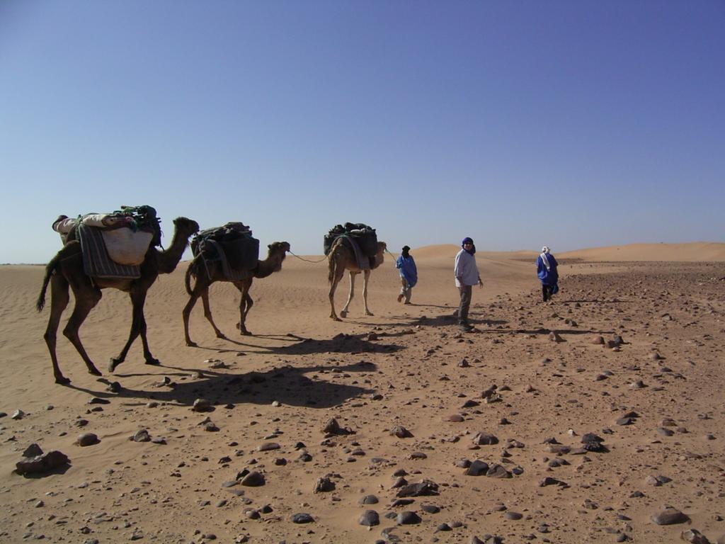 Fibule Du Draa Kasbah D'Hotes ซากอร่า ภายนอก รูปภาพ