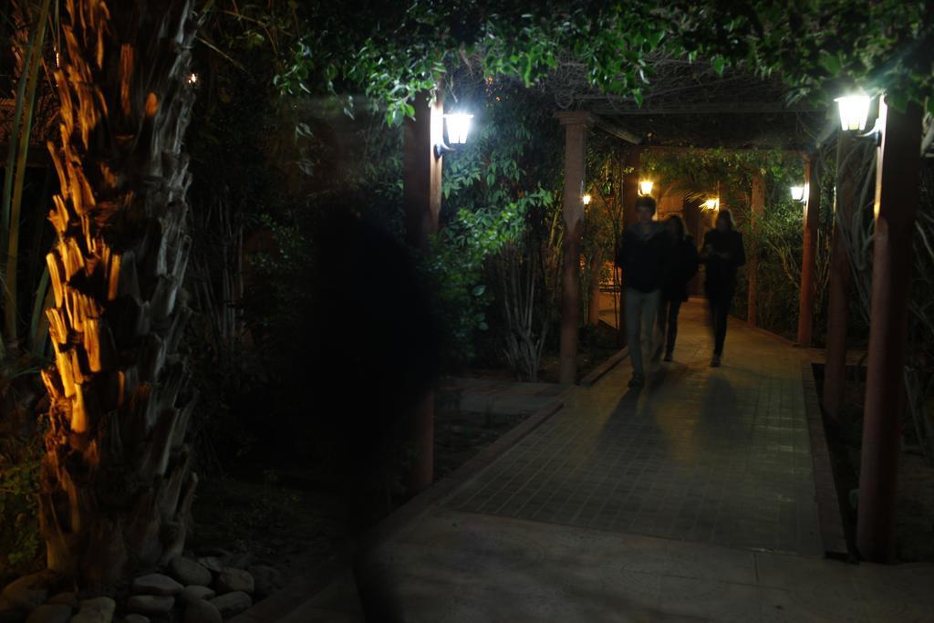 Fibule Du Draa Kasbah D'Hotes ซากอร่า ภายนอก รูปภาพ