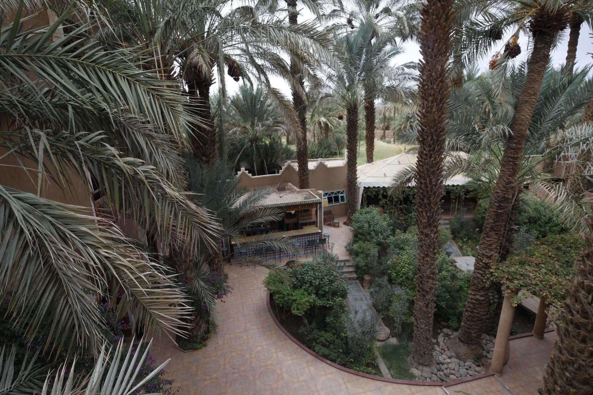 Fibule Du Draa Kasbah D'Hotes ซากอร่า ภายนอก รูปภาพ