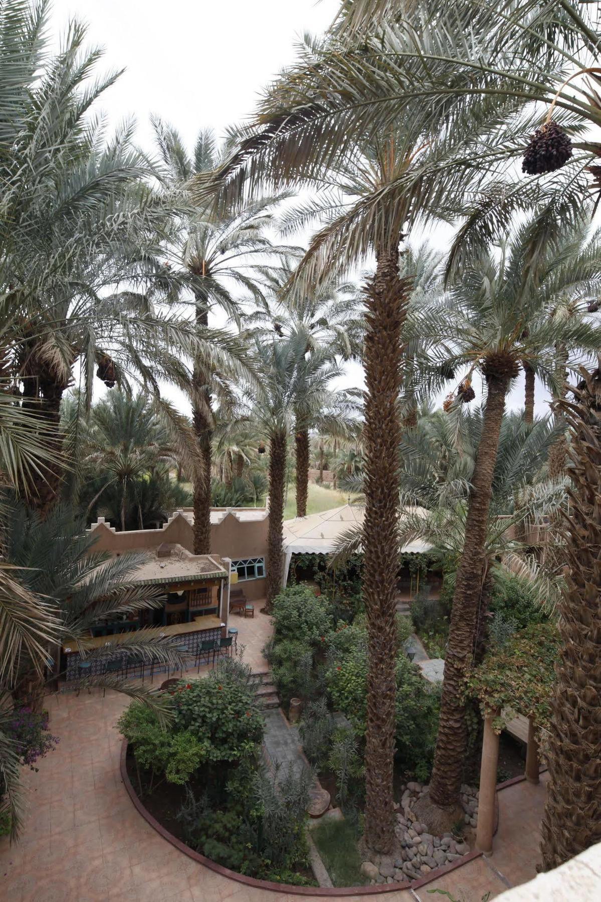 Fibule Du Draa Kasbah D'Hotes ซากอร่า ภายนอก รูปภาพ
